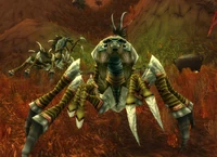 Image of Nerubian Sycophant