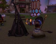 Zangen Stonehoof fire