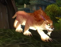 Image of Amani Lynx Cub