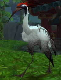 Image of Exotic Pet Crane