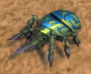 Sandshell Chitterer