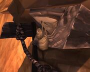 Sasha's Secret Stash