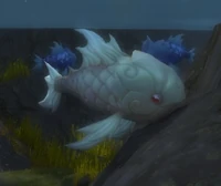 Image of Coldfin Carp