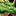 IconSmall DragonGreen.gif