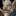 IconSmall Sul.gif