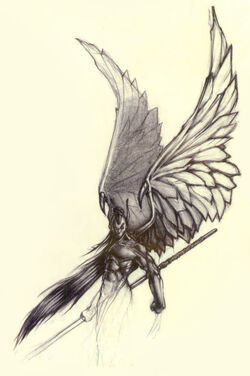 Winged night elf concept.jpg