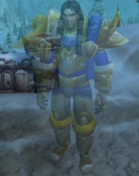 Image of Honored Hero