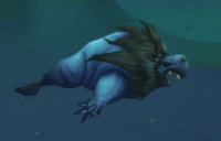 Image of Bilgewater Seal