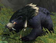 A type of wild bear, with an appearance based on the .