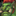 IconSmall Kazra'jin.gif