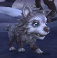 Frostwolf cub