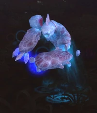 Image of Bound Tide Elemental