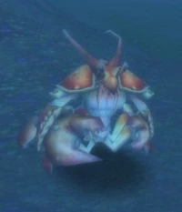 Image of Makrura Clacker