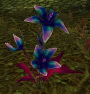 Corrupted Songflower