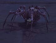 Desert Spider (Vol'dun)