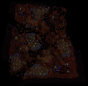 Gates of the Abyss Map