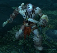 Image of Unworthy Combatant