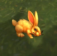 Image of Highland Hare