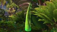 Image of Primal Growth