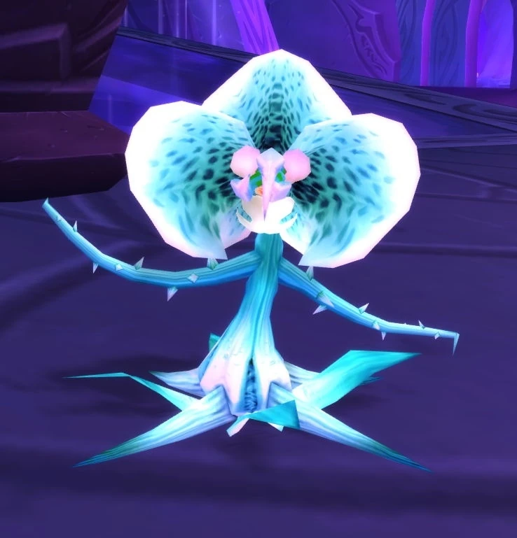White Seedling (1)