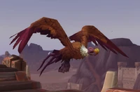 Image of Ahjani Vulture