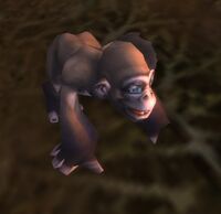 Image of Baby Ape