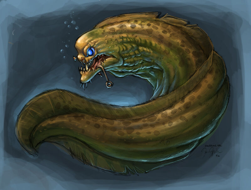 Eel - Wowpedia - Your wiki guide to the World of Warcraft