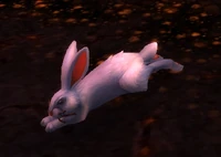 Image of Panicked Bunny