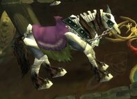Image of Skeletal Horse