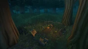 A   camp.