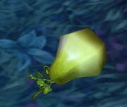 Fuzzy Pear.jpg