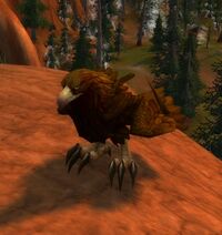 Image of Kalimdor Eagle