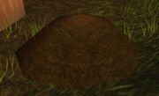 Loose Soil.jpg