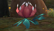 Mysterious Flower - Spires of Arak