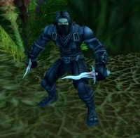 Image of Ninja