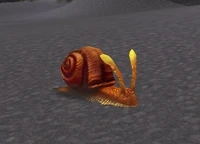 Image of Shimmershell Snail
