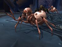 Image of Nerub'ar Webweaver