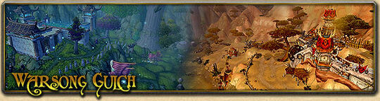 GameGuide04 BGs WSG Banner