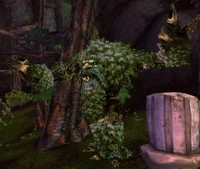 Image of Ancient Hyjal Protector