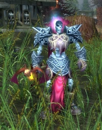 Image of Desiccated Magus