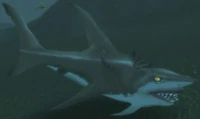 Image of Mammoth Shark