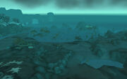 The Forgotten Shore