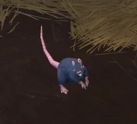Image of Disgusting Rat
