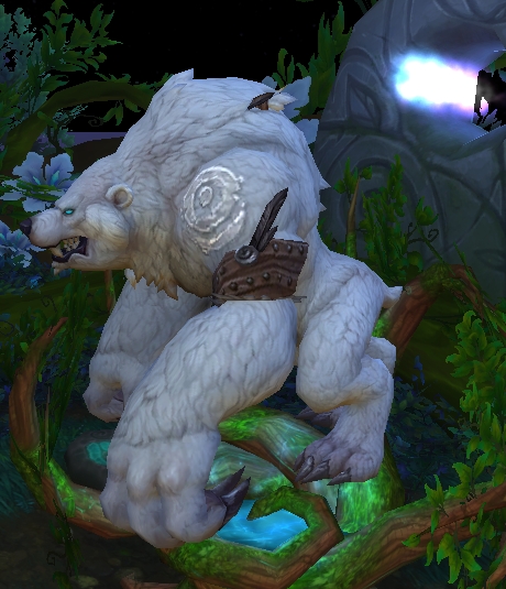 Bear form. WOTLK Classic Bear form.