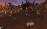 Jaggedswine Farm Cataclysm