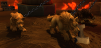 Image of Trained Wolf