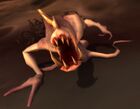 Animated Flesh