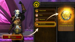 World of Warcraft Character Boost Tutorial 