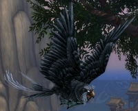 Image of Observer Owl