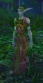 Leyara before joining the Druids of the Flame.